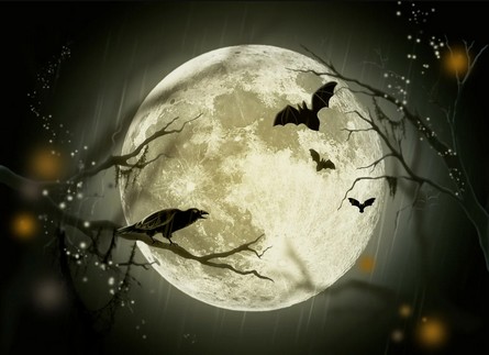 Den echten Supermond letzte Woche konnten wir nicht fotografieren, dann eben dieser hier von pixabay.